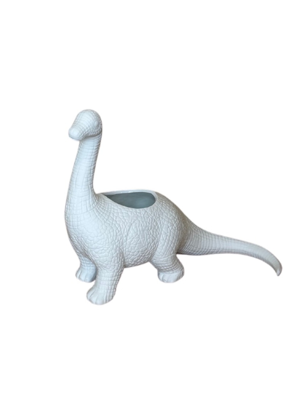 White Ceramic Dinosaur Planter | House Plants Succulent